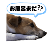 840128711