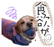 840135399