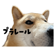 840137337