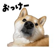 840137338