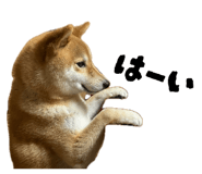 840137350