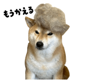 840137363