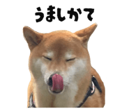 840137366