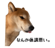 840137367