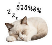 840141365