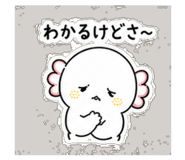 840144354
