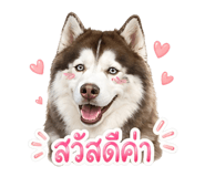 840145145