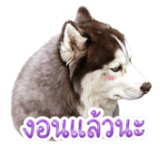 840145148