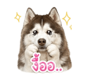 840145155