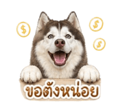 840145158