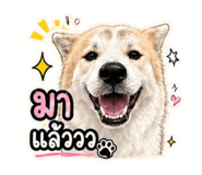 840146345