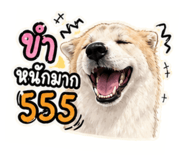 840146346