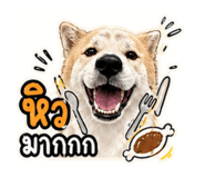 840146348