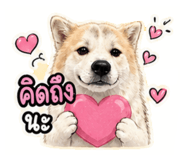840146358