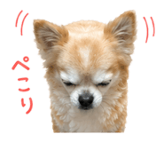 840146399