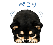 840146804
