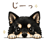 840146805