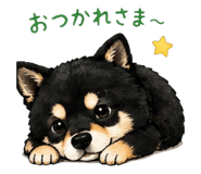 840146807