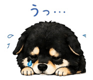 840146814