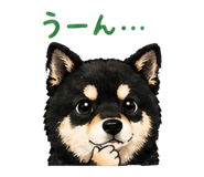 840146817