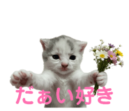 840147521