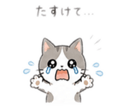 840150998