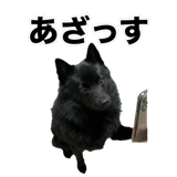 840151814