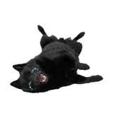 840151830