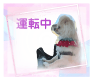 840152901