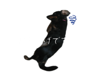 840153058