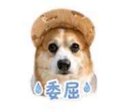 840159835