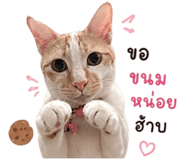 840164032