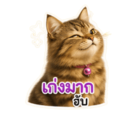 840164964