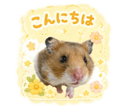840167842