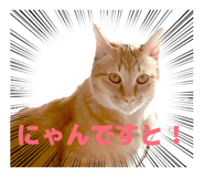 840168010