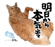 840168018