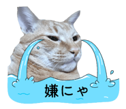 840168032