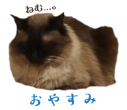 840169385