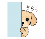 840170144