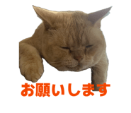 840170208