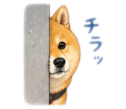 840170676