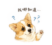 840176794