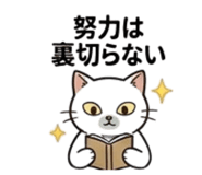 840178036