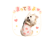 840178693