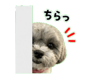 840179004