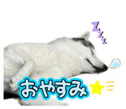 840180487