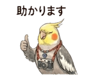 840181776