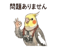840181779
