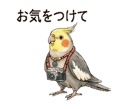 840181791
