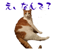 840182170